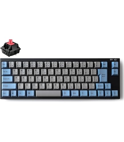 Amazon | LEOPOLD FC660MBT GRAYBLUE Bluetooth/USB-C 日本語配列 かな